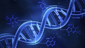 DNA چیست؟